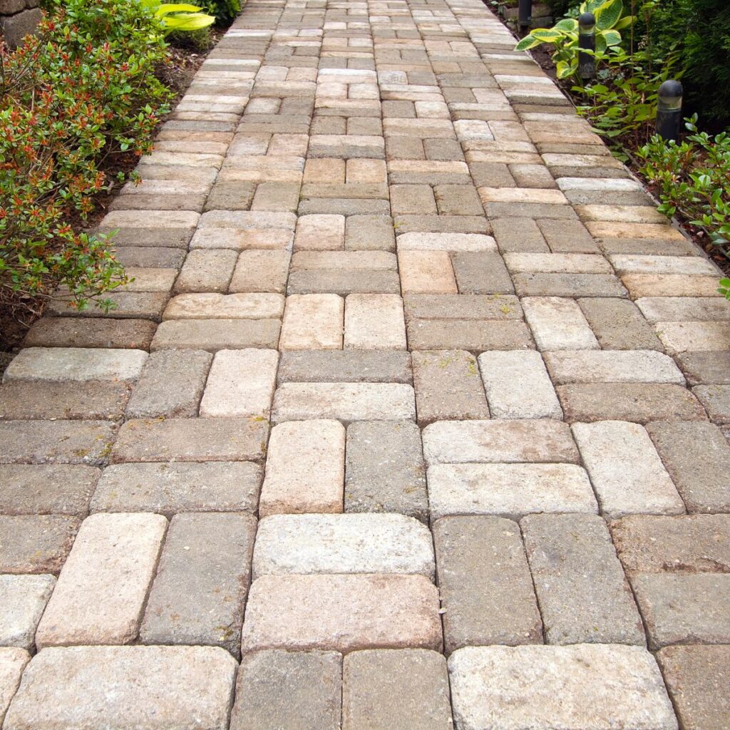 Paver walkway in a st petersburg fl front yard
